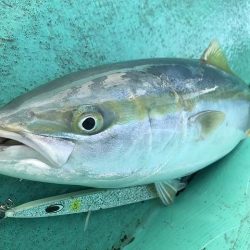 広進丸 釣果