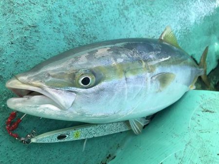 広進丸 釣果