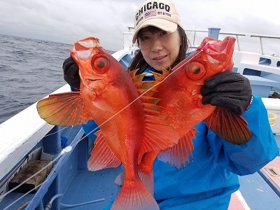 しまや丸 釣果