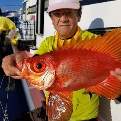 しまや丸 釣果