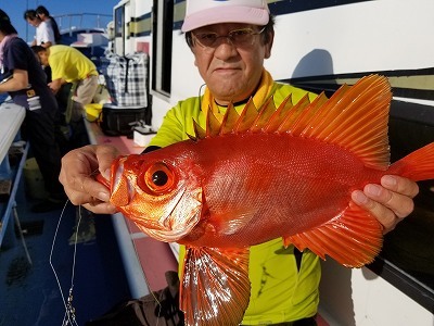 しまや丸 釣果