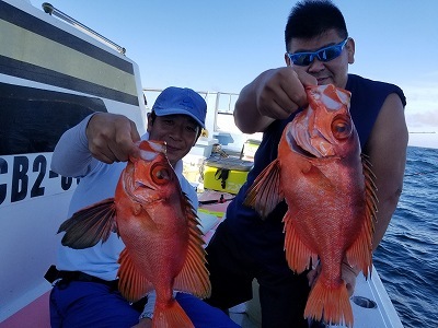 しまや丸 釣果