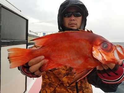 しまや丸 釣果