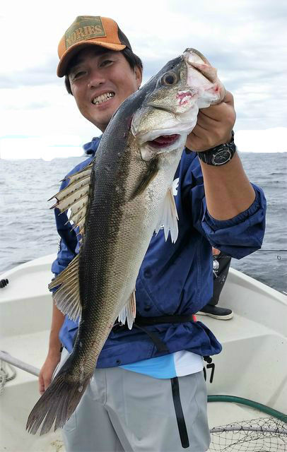 めだか屋 釣果