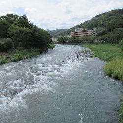 狩野川（狩野川漁業協同組合） 釣果