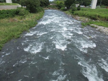 狩野川（狩野川漁業協同組合） 釣果