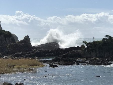 たいし丸 釣果