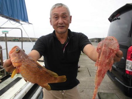 大進丸（新潟） 釣果