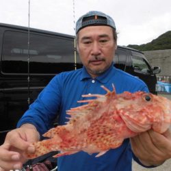 大進丸（新潟） 釣果