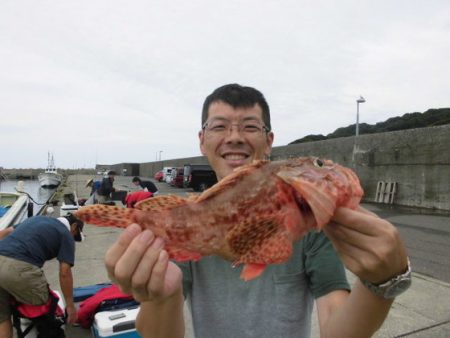 大進丸（新潟） 釣果