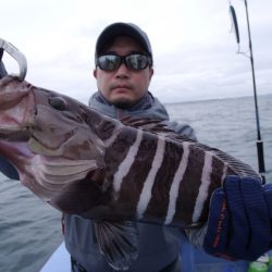 松鶴丸 釣果