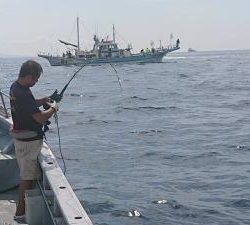 かねい丸 釣果