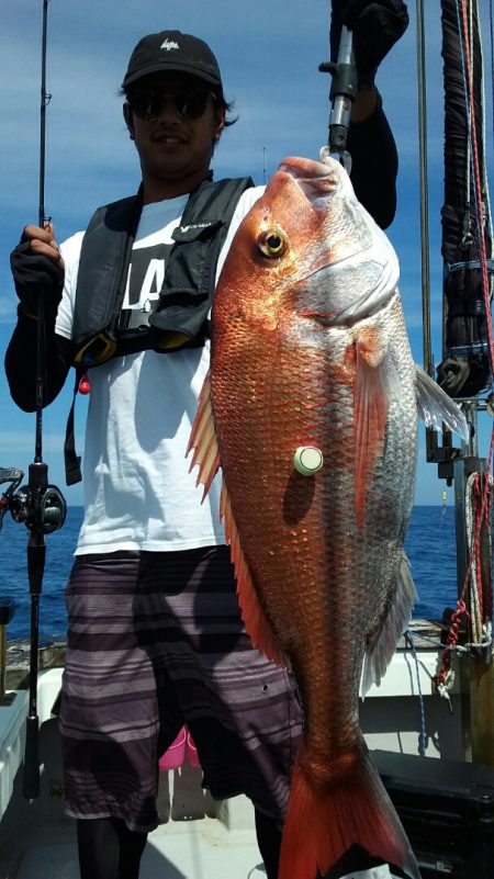 鷹王丸 釣果