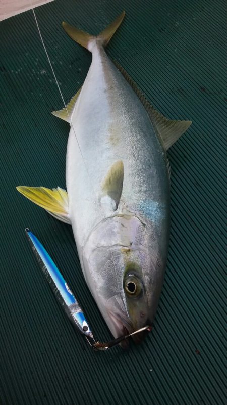 鷹王丸 釣果