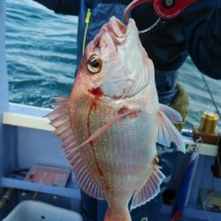 新幸丸 釣果