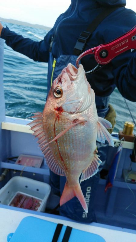 新幸丸 釣果