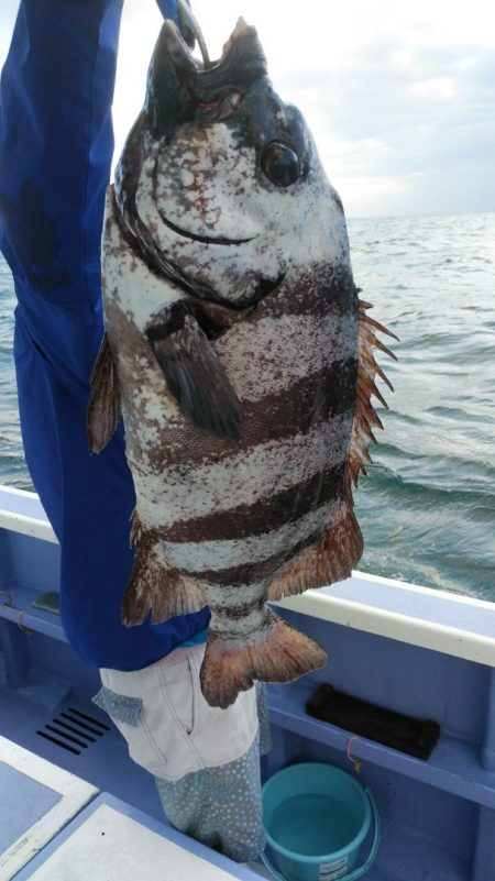 新幸丸 釣果