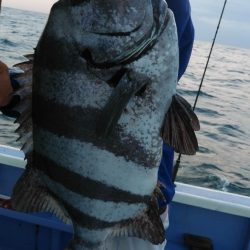 新幸丸 釣果