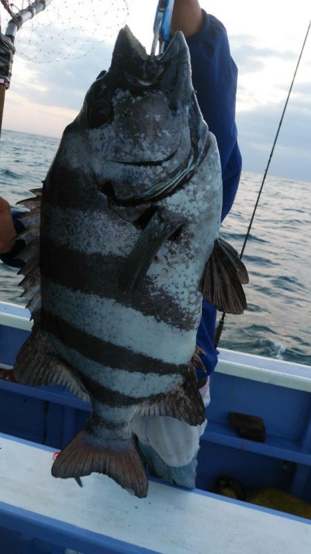 新幸丸 釣果