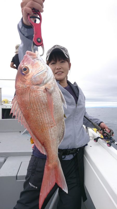 だて丸 釣果