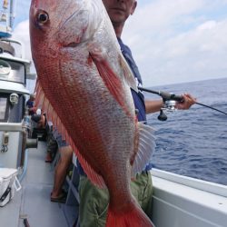 だて丸 釣果