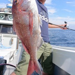 だて丸 釣果