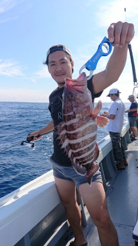 だて丸 釣果