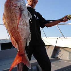 だて丸 釣果