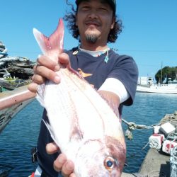 富士丸 釣果