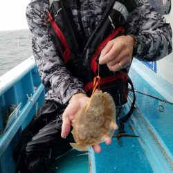 みやけ丸 釣果