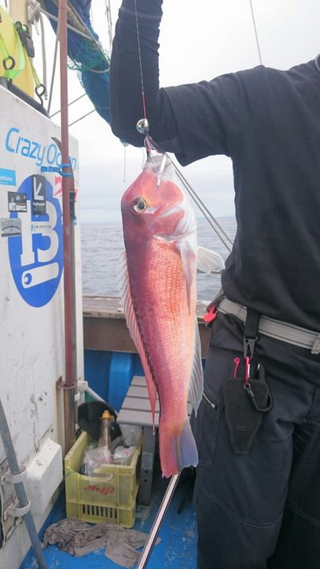 海龍丸（石川） 釣果