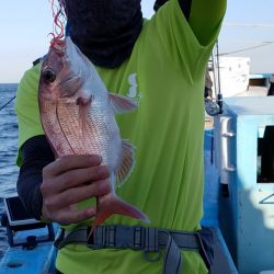 みやけ丸 釣果