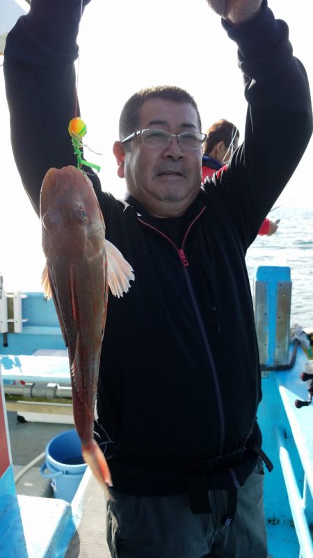 みやけ丸 釣果