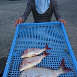 第三共栄丸 釣果