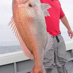 だて丸 釣果