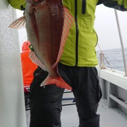 だて丸 釣果