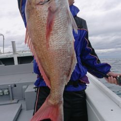 だて丸 釣果