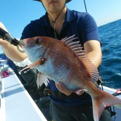 新幸丸 釣果