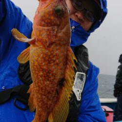 竹宝丸 釣果