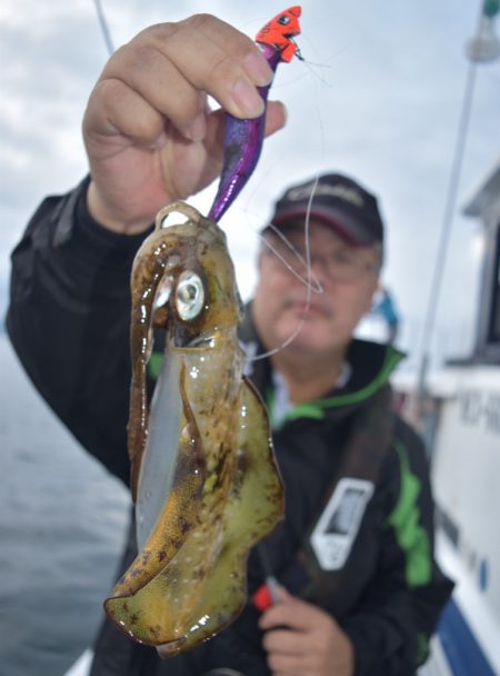 渡船屋たにぐち 釣果