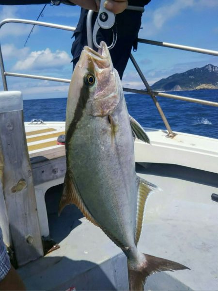 光生丸 釣果