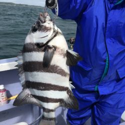 新幸丸 釣果