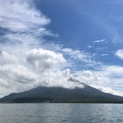 龍神丸（鹿児島） 釣果