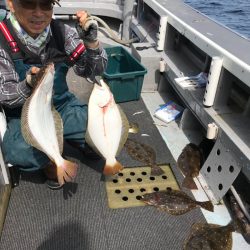 シーランチ 釣果