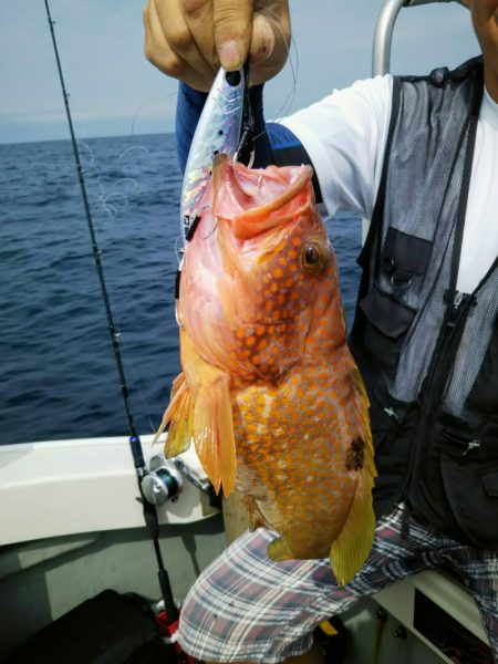 光生丸 釣果