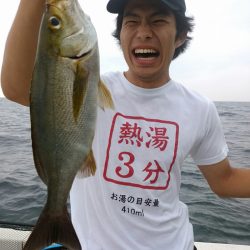 bay style 釣果