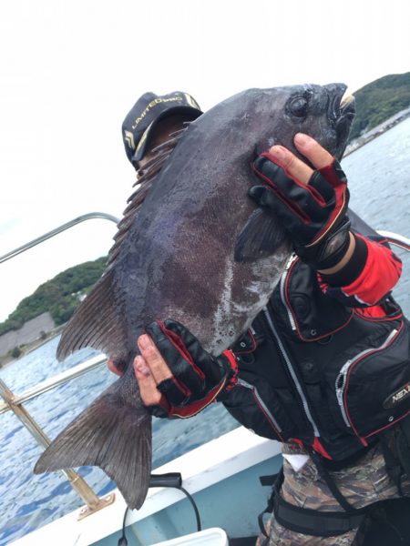 渡船屋たにぐち 釣果