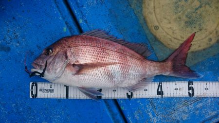 海龍丸（石川） 釣果