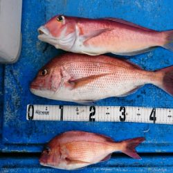 海龍丸（石川） 釣果