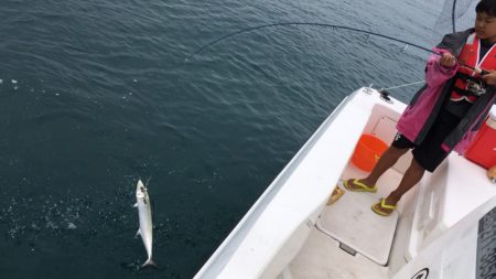 うさぎ丸 釣果